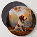 Search for brittany badges Dog