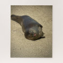 Search for lazy photography Wildlife