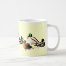 Search for mallard ducks mugs Birds