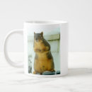 Search for squirrels mugs Funny