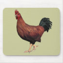Search for bird house mousepads Cute