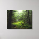 Search for forest canvas prints Woods