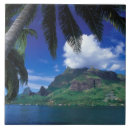 Search for polynesia tiles Mountain