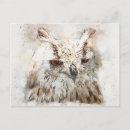 Search for cute owl postcards Animals