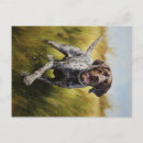 Search for german shorthaired postcards Pointer