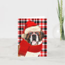 Search for saint christmas cards Dogs