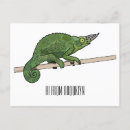 Search for chameleon postcards Africa