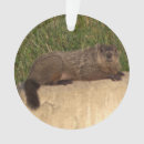 Search for groundhog christmas tree decorations Animals