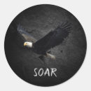 Search for soaring eagle stickers Bird