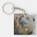 Search for marine animals key rings Pinnipeds