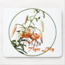 Search for tiger mouse Mum