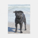 Search for black pug blankets Dog