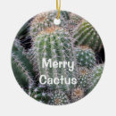 Search for cactus christmas tree decorations Desert