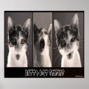 Search for kitty posters Cats