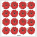Search for gerbera daisy stickers Floral