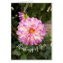 Search for thinks photography Floral