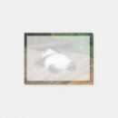 Search for giant post it notes Animal