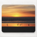 Search for ca mousepads Diego