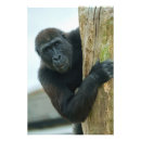 Search for lowland art Western lowland gorilla