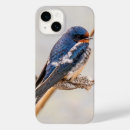Search for swallow bird iphone cases Wildlife