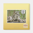 Search for this is why i magnets I can has cheezburger