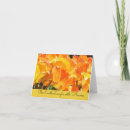 Search for flower cards note cards Colourful
