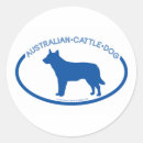 Search for australian cattle dog stickers Animals