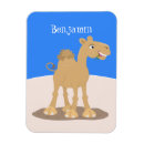 Search for camel magnets Cartoon