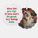Search for funny dog christmas cards Simple