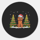 Search for irish setter dog stickers Funny christmas
