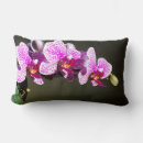 Search for tropical flower cushions Orchid