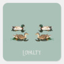 Search for mallard ducks stickers Nature