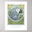 Search for grey parrot posters Watercolor
