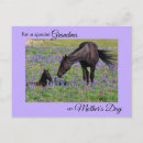 Search for grandmother mothers day cards Photograph