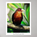 Search for save animals posters Colourful