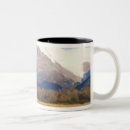 Search for arctos mugs National park