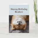 Search for a brother dog birthday birthday cards Funny