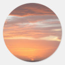 Search for florida orange stickers Sunset