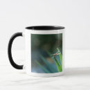 Search for dragonfly mugs Leaf