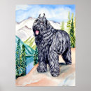 Search for bouvier posters Canine