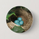 Search for robin badges Nest