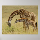 Search for game park art Wildlife preserve