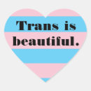 Search for transgender stickers Pride