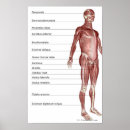 Search for system posters Human