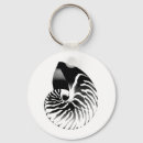 Search for nautilus shell key rings White