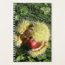 Search for fruit planners Green