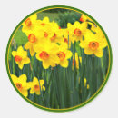 Search for stunning stickers Flower