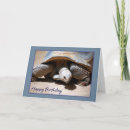 Search for tortoise birthday cards Turtle