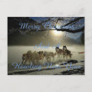 Search for husky christmas cards Snow