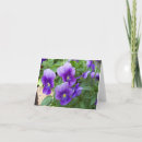 Search for varieties cards Floral